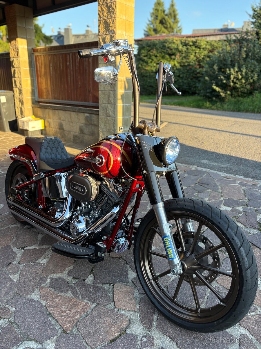 Harley Davidson FLSTNSE CVO - 3