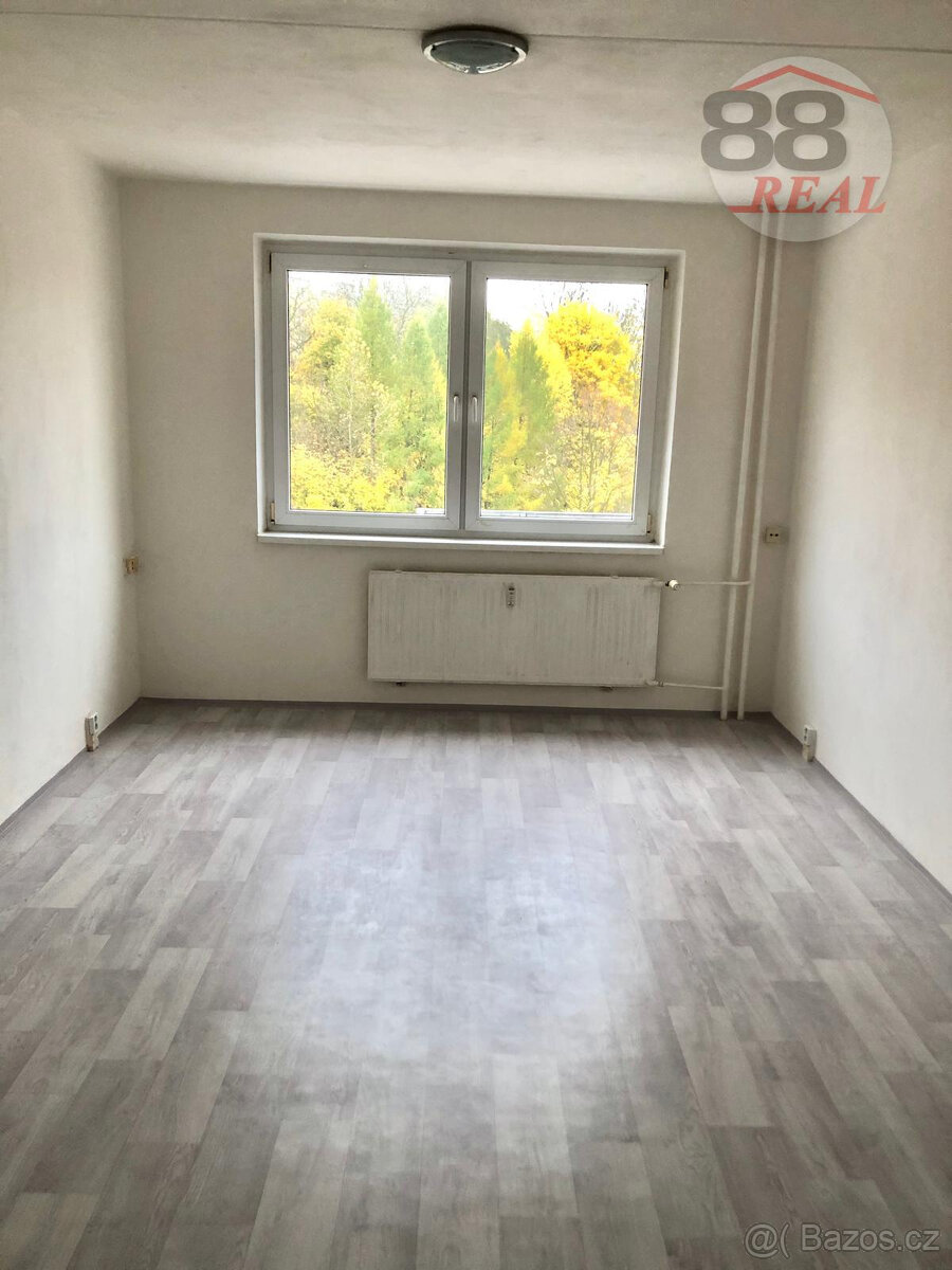 Pronájem 2+1, ulice Dlouhá - 3