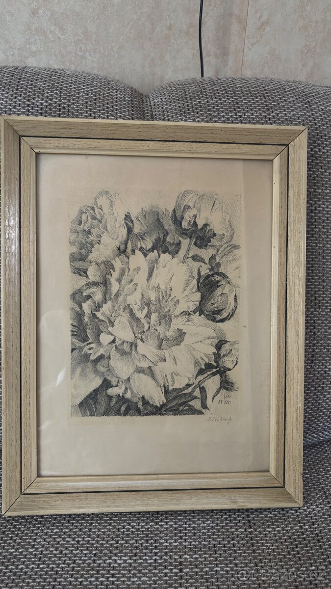 Obraz Max Švabinský Pivoňky - 3