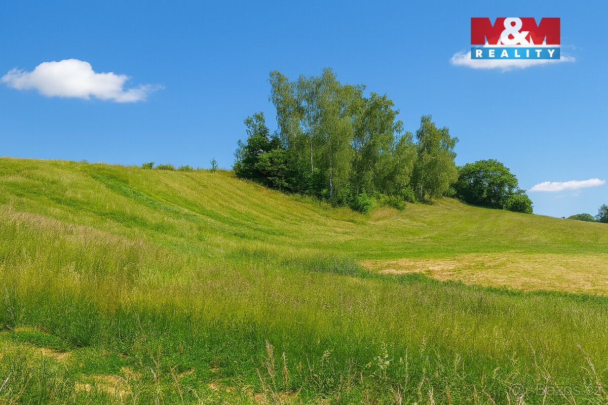 Prodej ideální 1/2 souboru pozemků ve Svijanském Újezdu - 3