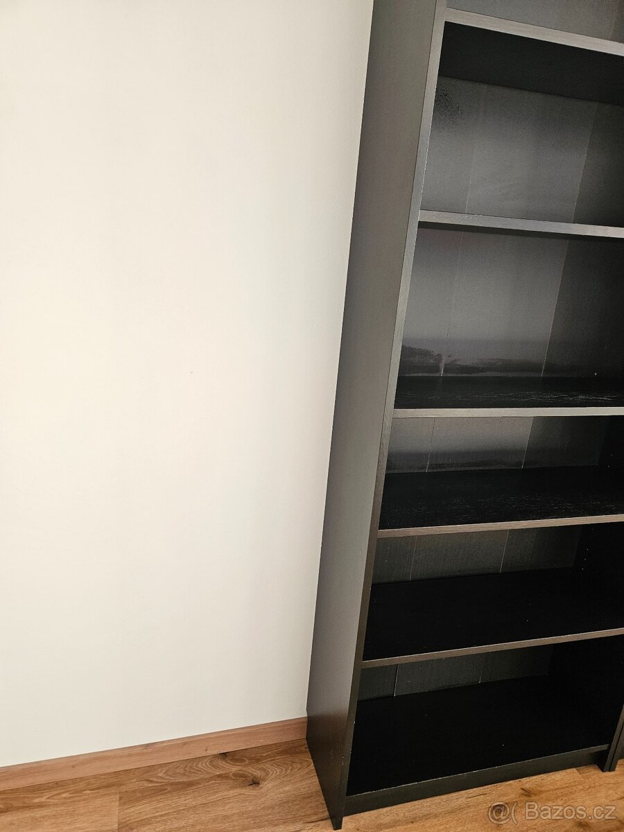 IKEA knihovna Billy 2 kusy - 3