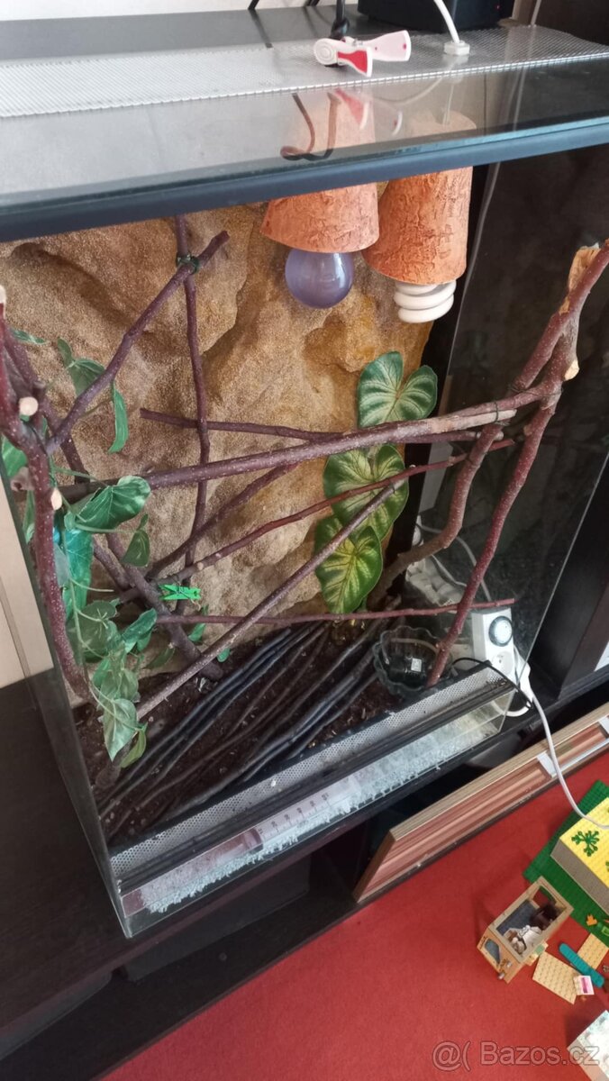 Terárium 80x55x35 - 3