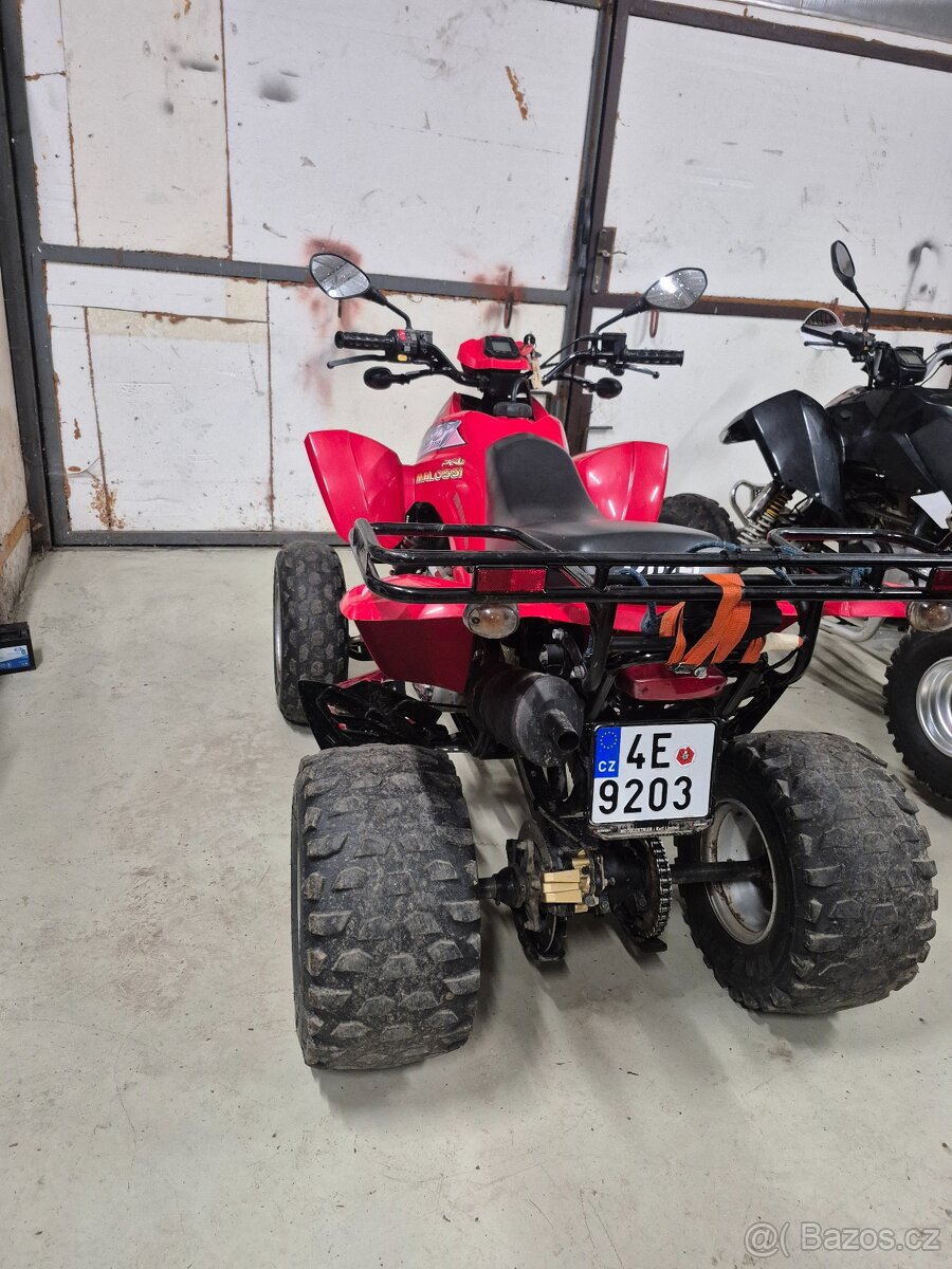 DINLI S 350 MASAI SPZ - 3