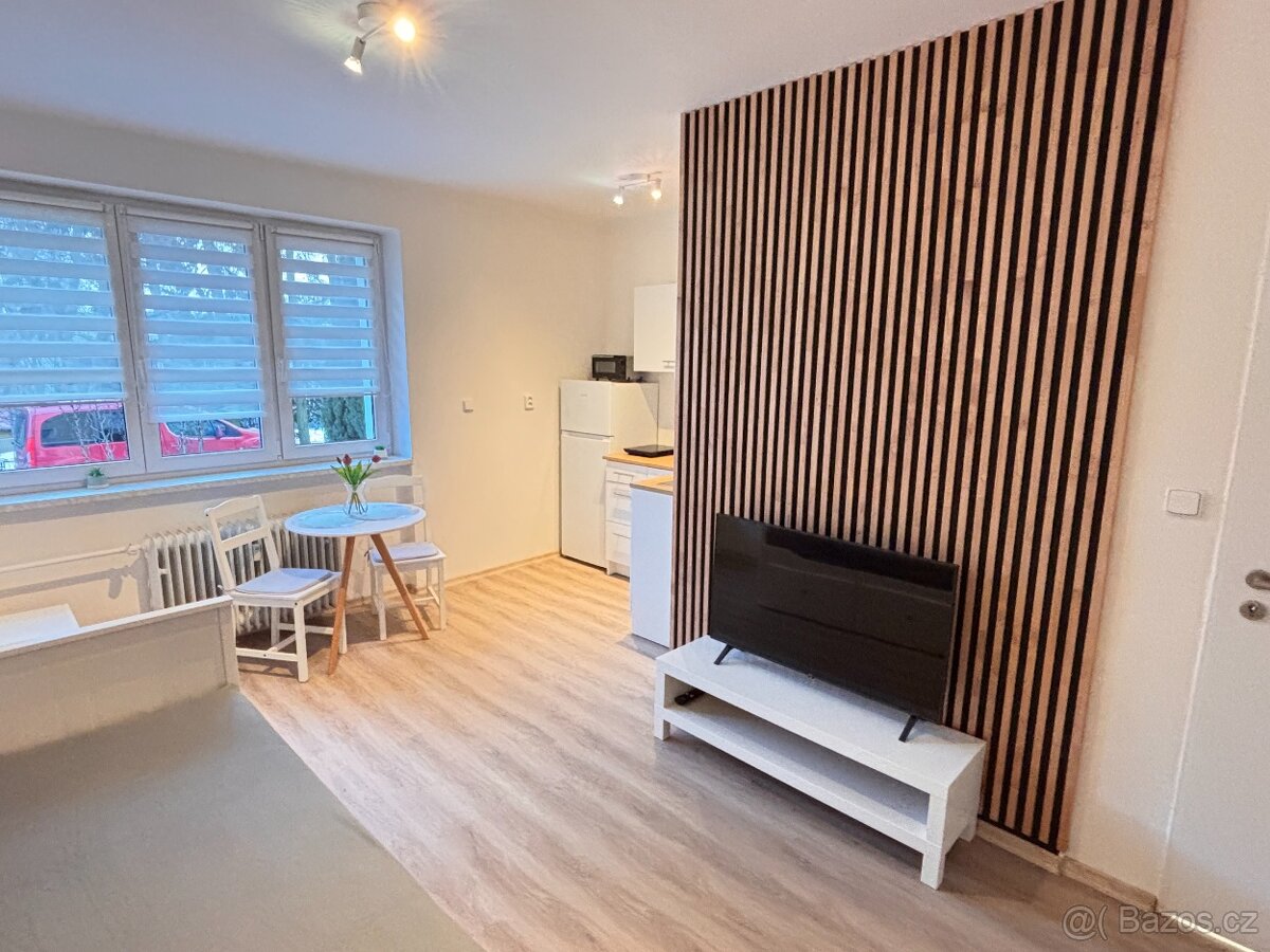 Pronájem bytu Tachov - 3