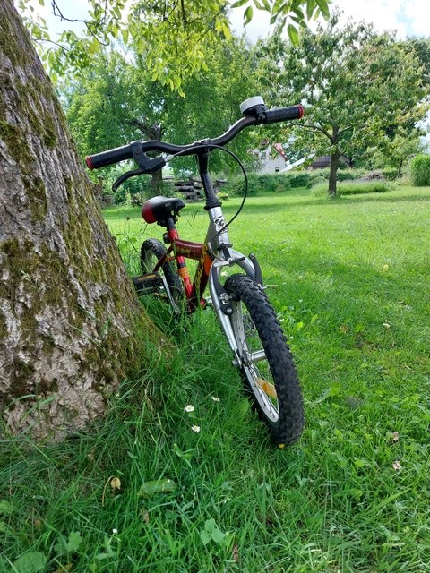 Dětské kolo - 3