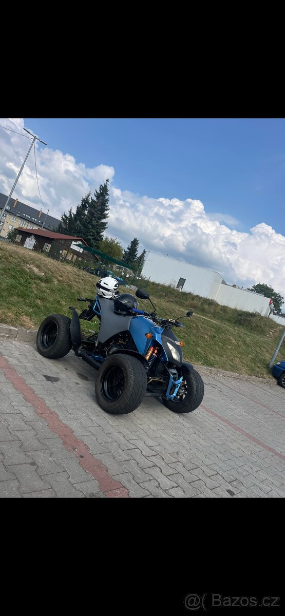 Bashan 300s-18