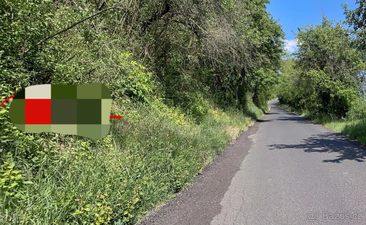 Pozemek, zahrada,sad,louka - 3