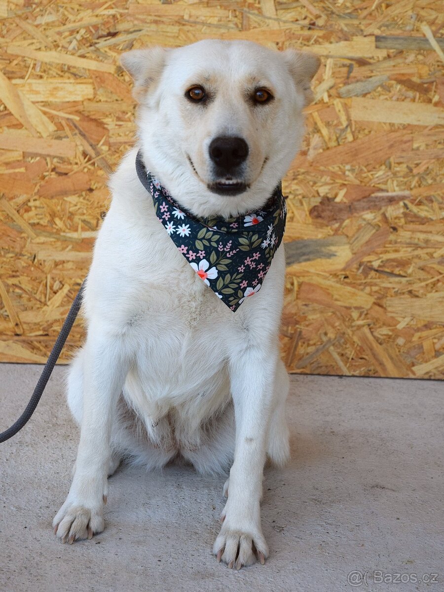 🌸 Zaira – veselá parťačka do života 🌸 - 3