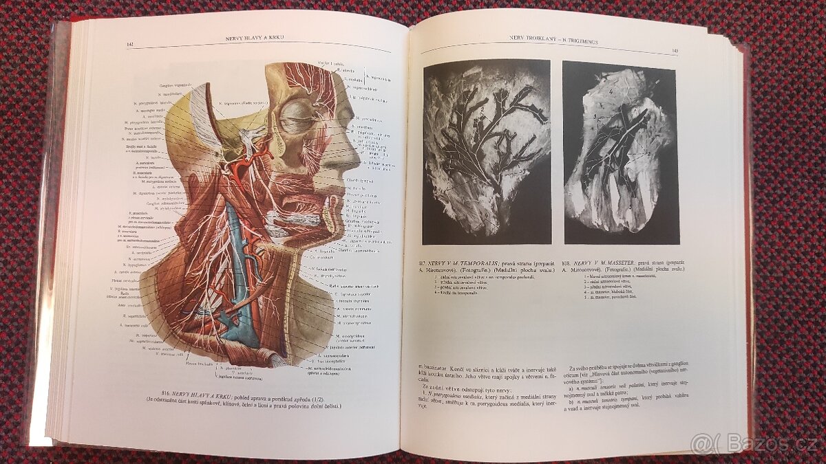Atlas anatomie člověka I.-III. R.D. Sinělnikov - 3