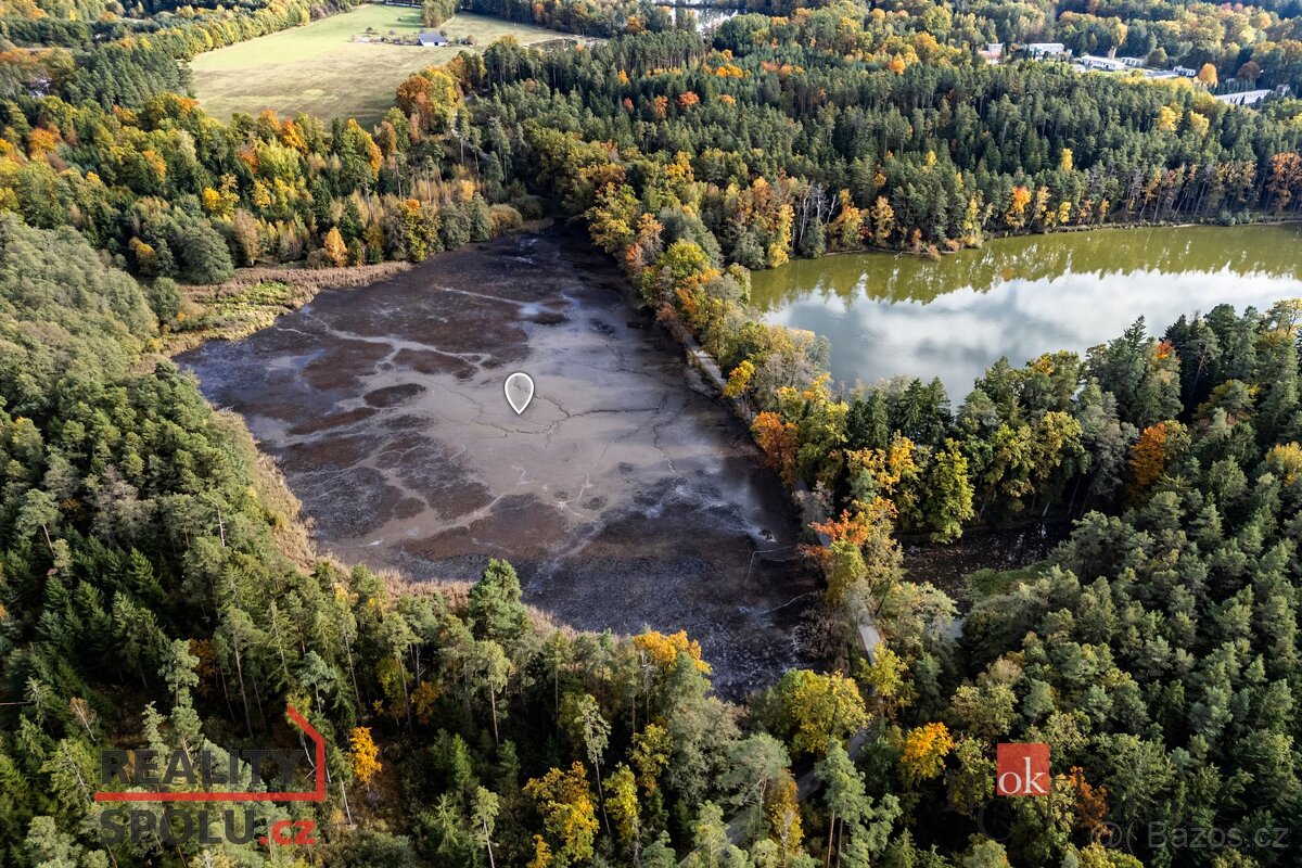 Prodej, pozemky/rybník, 64790 m2, Žíteč, Chlum u Třeboně, Ji - 3