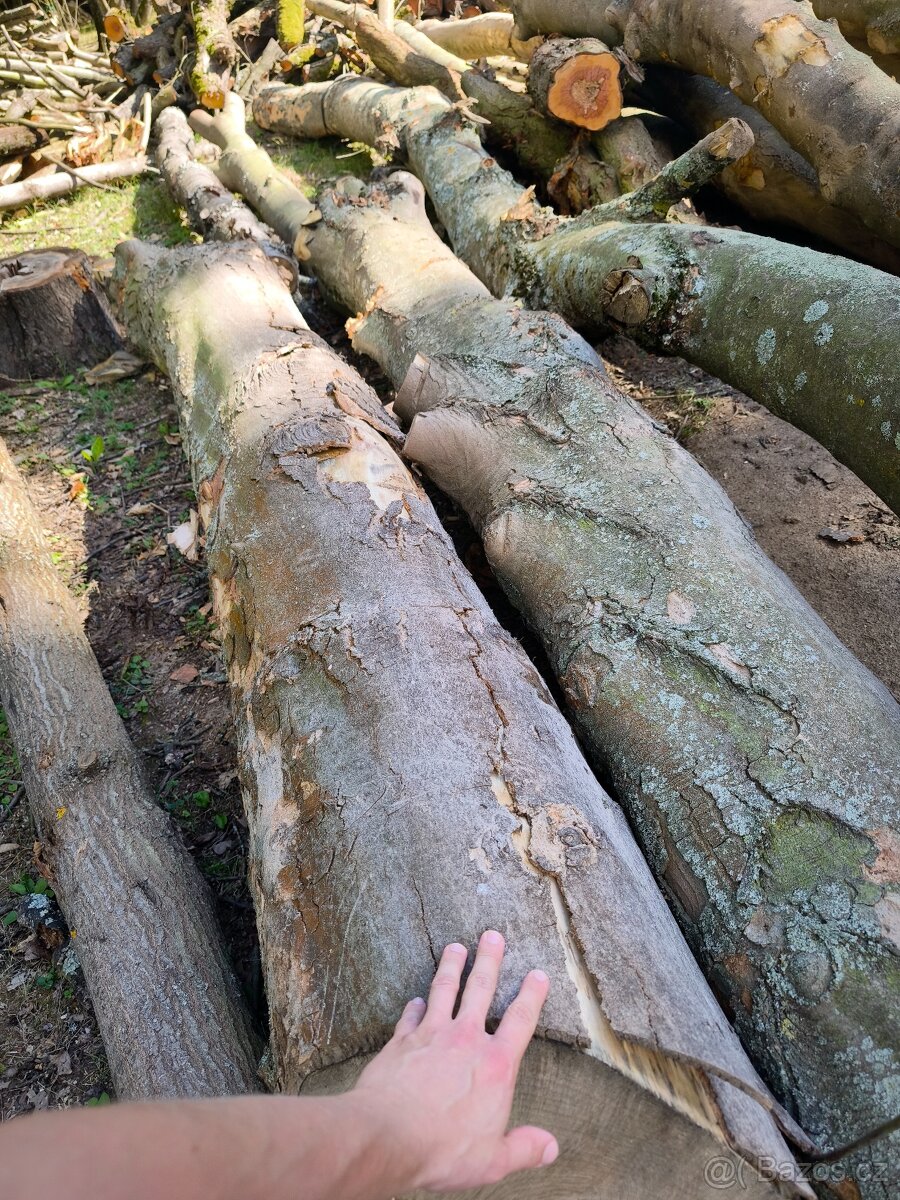 Prodám převážně Tvrdé listnaté dřevo - 3