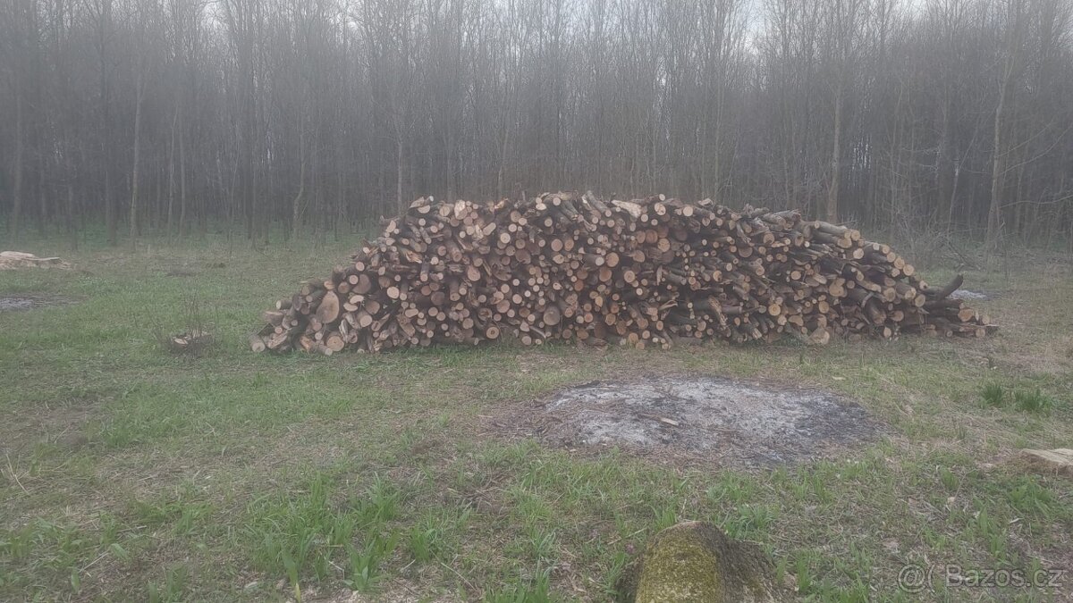 Palivové dřiví - 3