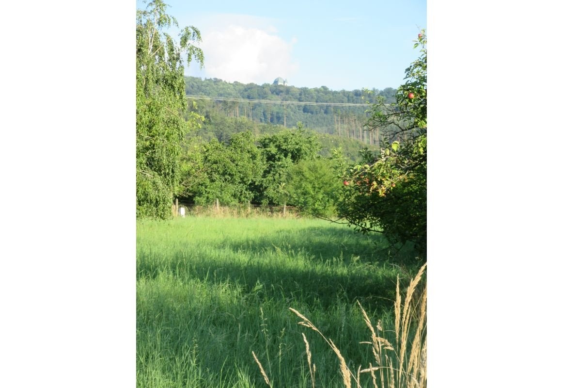 Prodej rekreačního pozemku v k.ú. Bystřice pod Hostýnem - 3