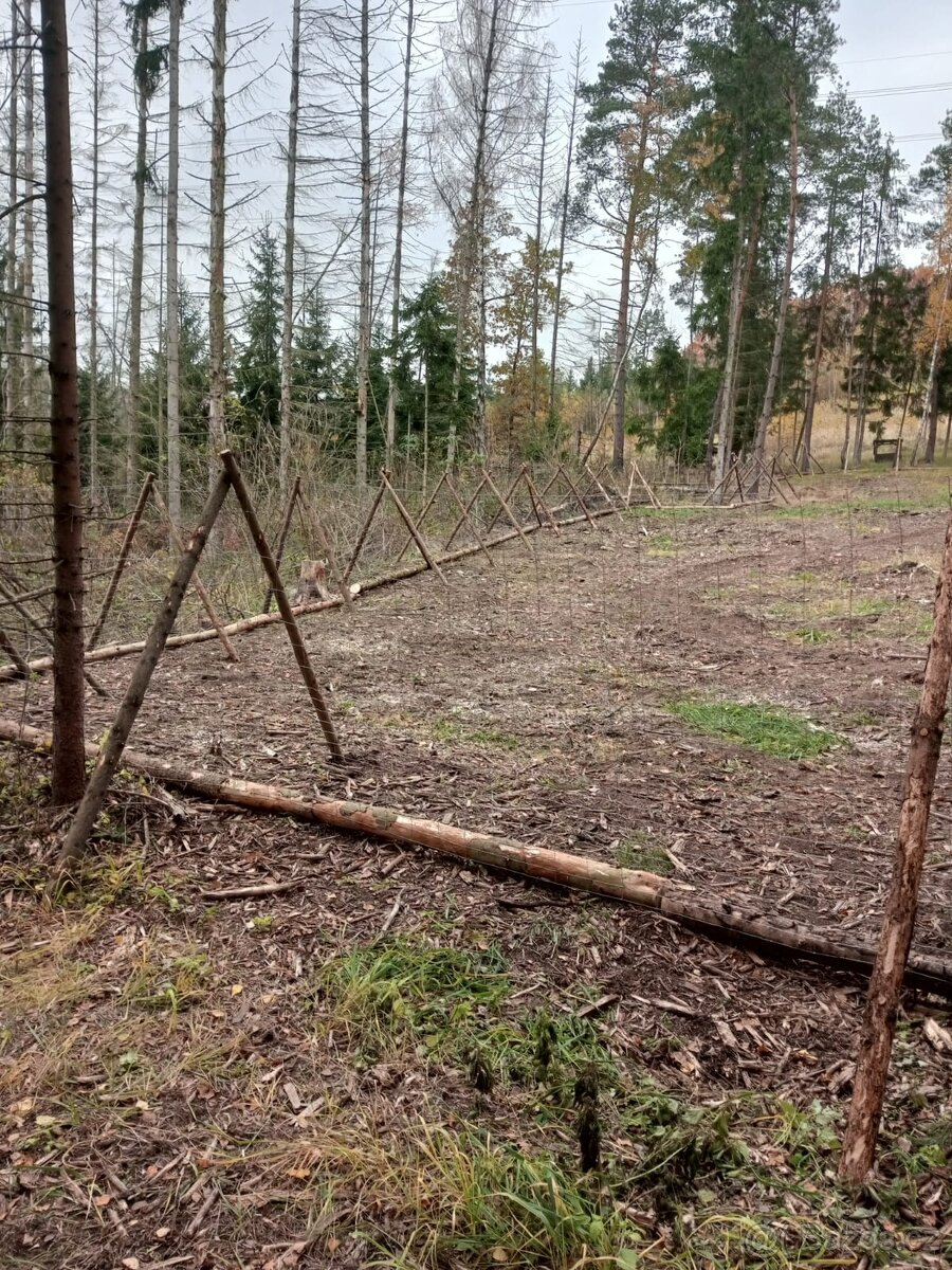 Hledám partáka na práci v lese (okres Benešov) - 3