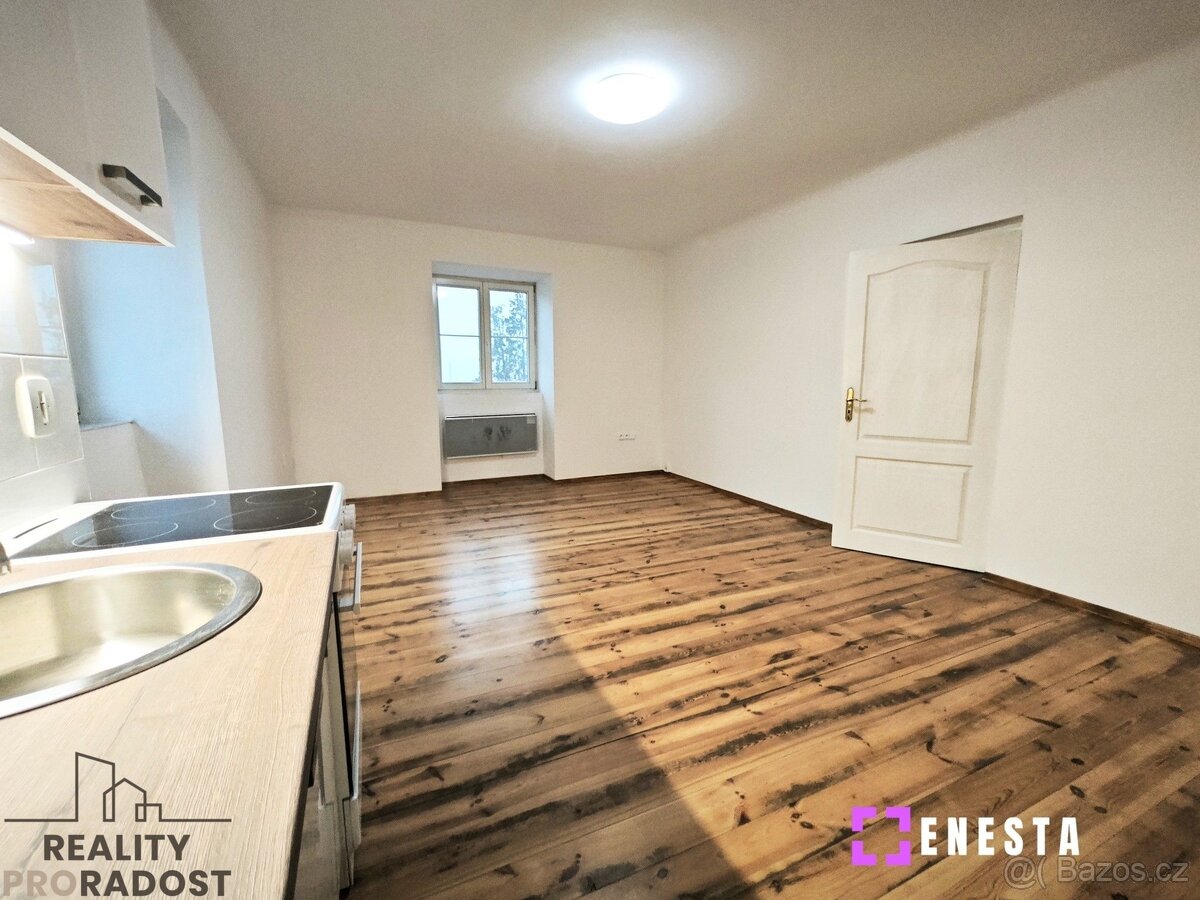 Pronájem bytu 2+kk 45 m², Tursko - 3