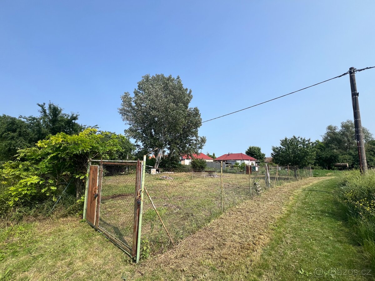 Prodej Zahrady Božice 1119m - 3