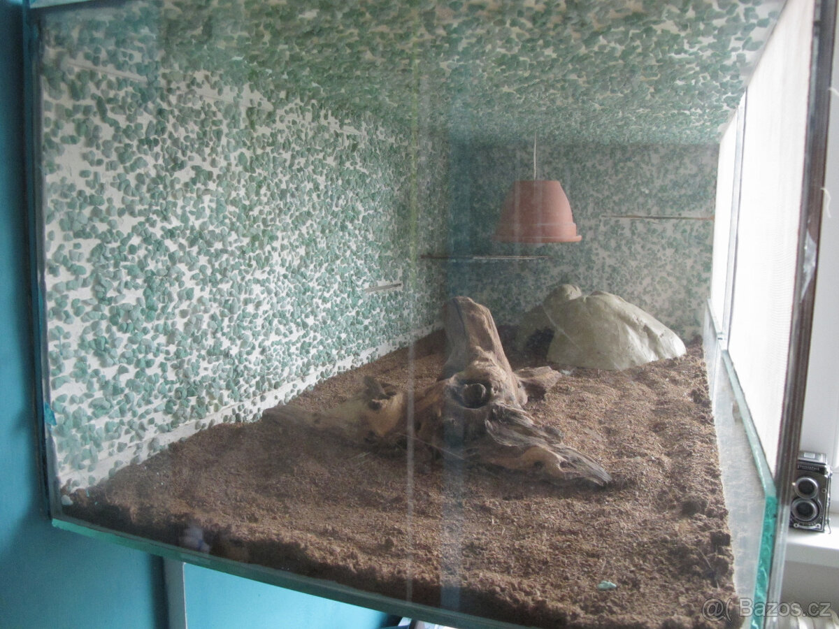 Terárium pro hada - 3