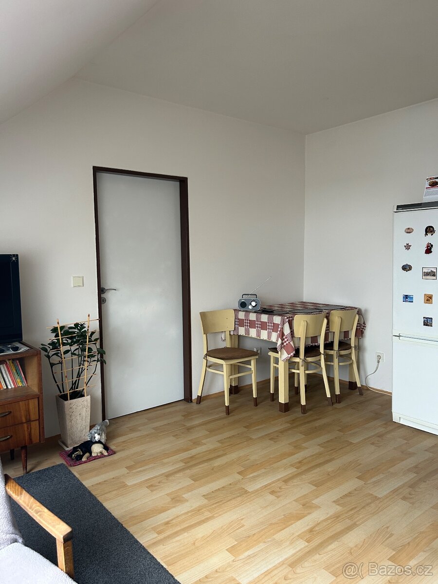 Pronájem bytu 2+kk Heřmanův Městec - 3