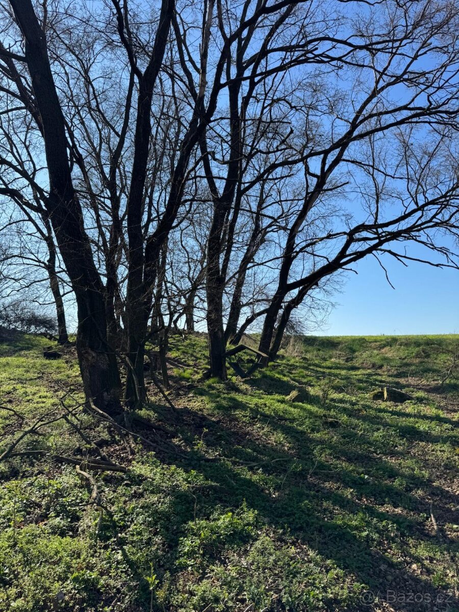 Prodám pozemky v katastrálním území Jevišovice - 3