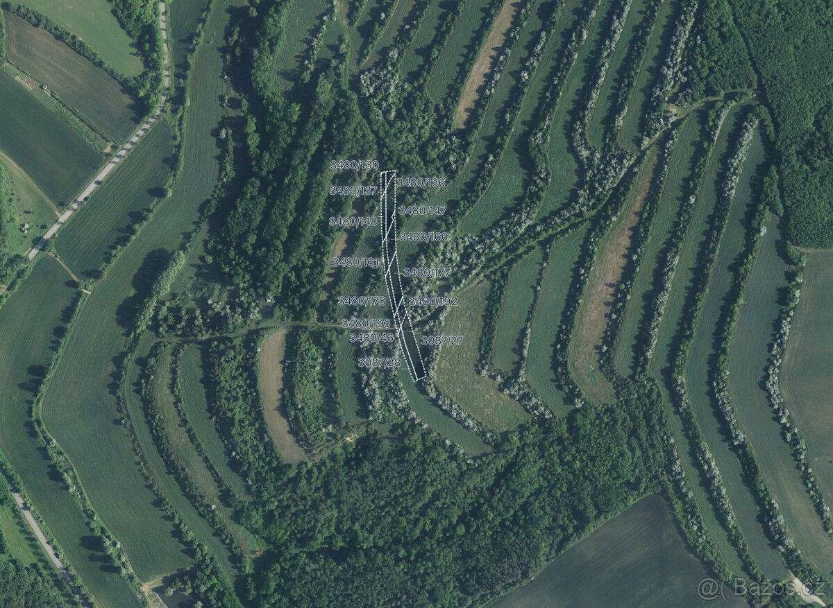 Zemědělská půda, prodej, Boleradice, Břeclav - 3