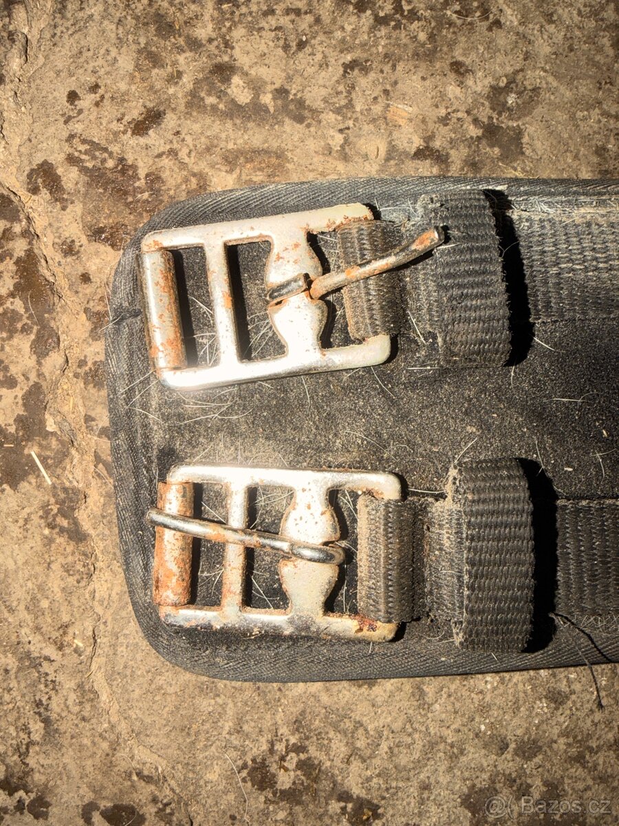 Drezurní podbřišník 70 cm - 3