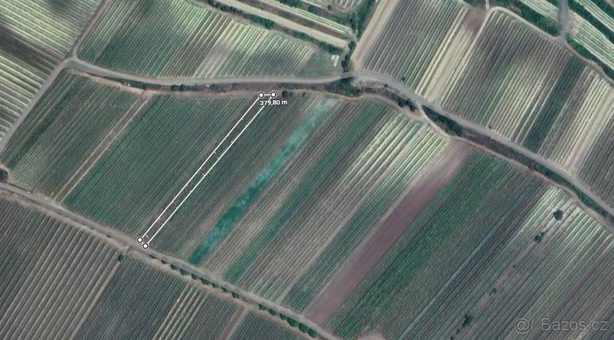 PRODEJ VINICE V BŘEZÍ U MIKULOVA - 3