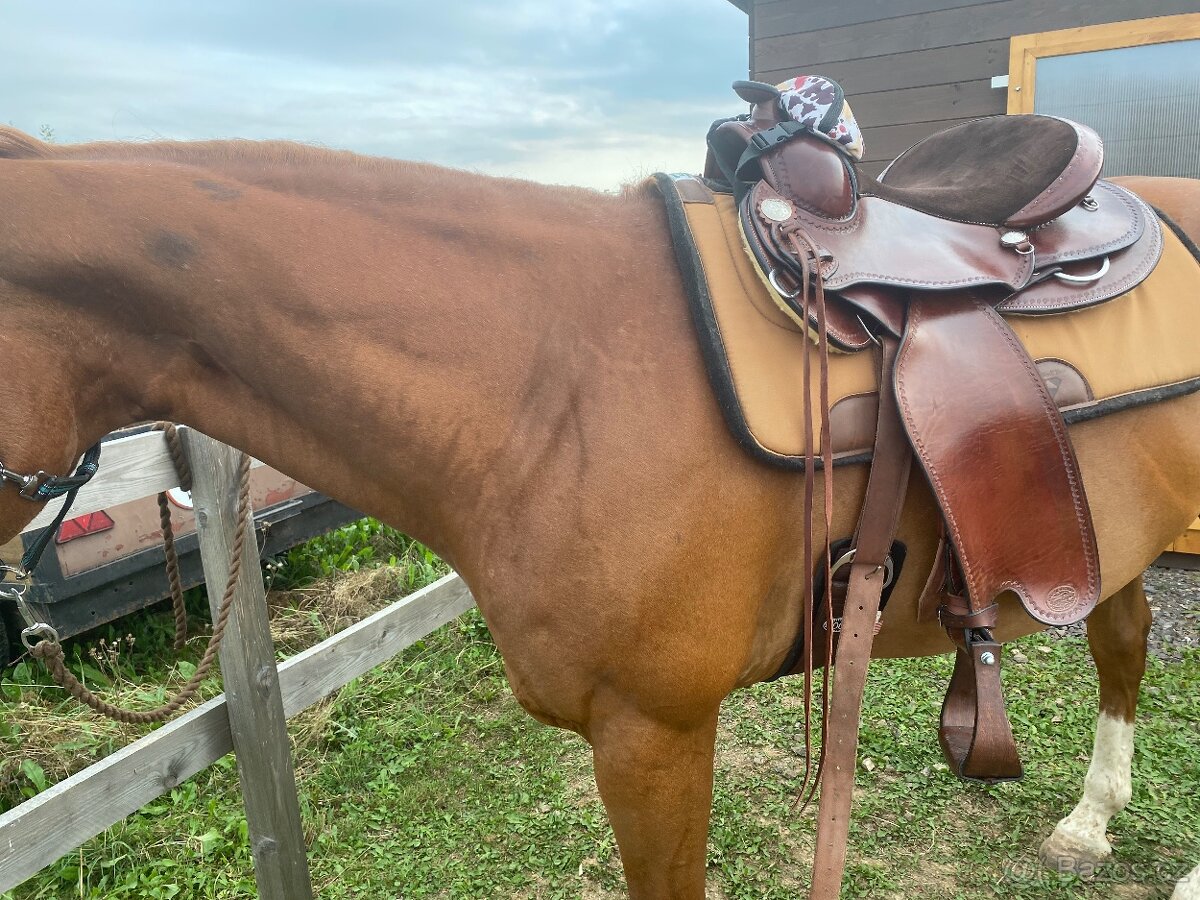 Allround sedlo Tom Zajac - 3