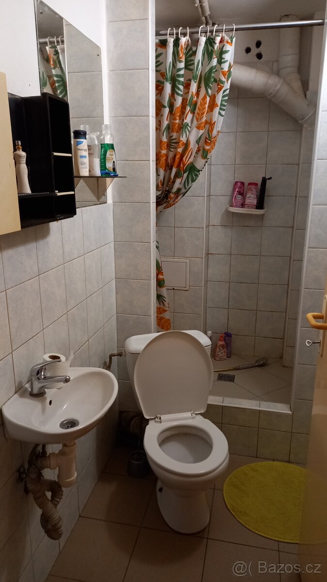 Pronájem bez kauce - 3