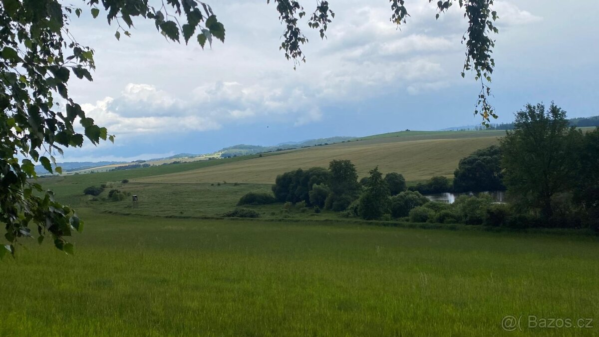 Prodej lesního pozemku - 3