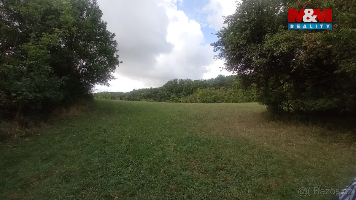 Prodej louky, 16692 m², Jenčice - 3