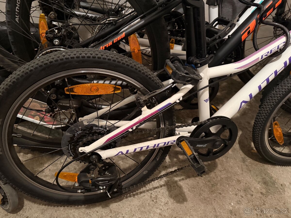 Author record 20” - 3