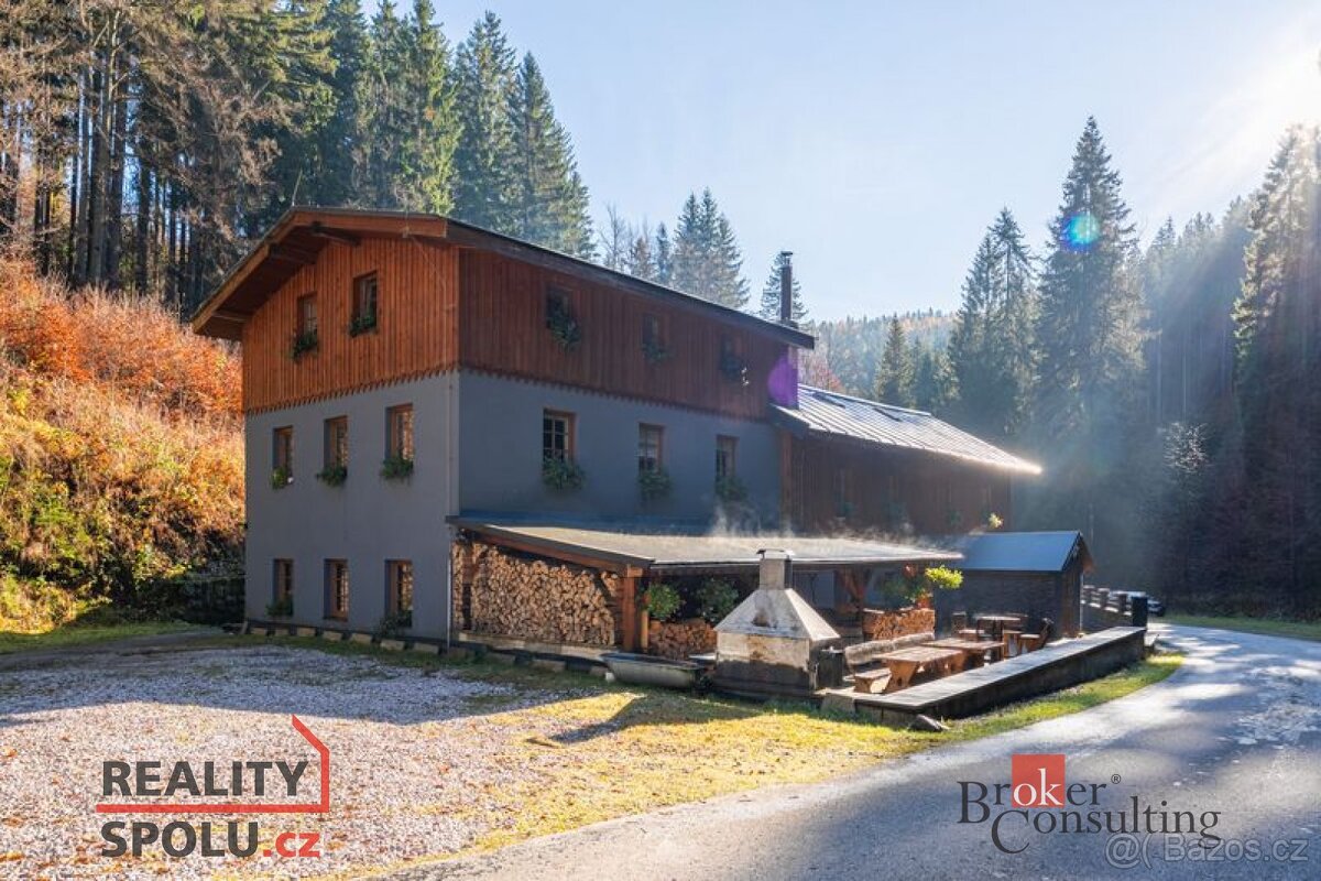 Prodej, komerční/ubytování, 650 m2, 54352 Strážné, Trutnov [ - 3