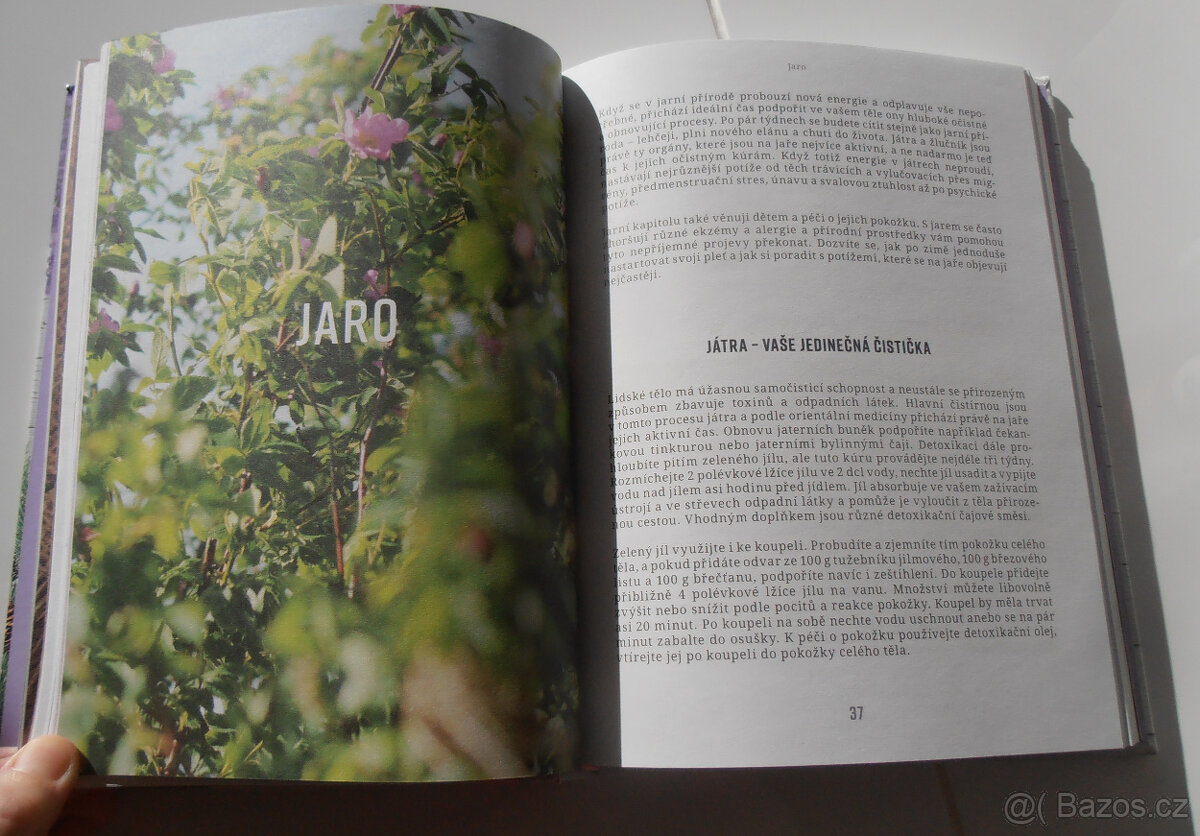 Aromaterapie podle ročních období - 3