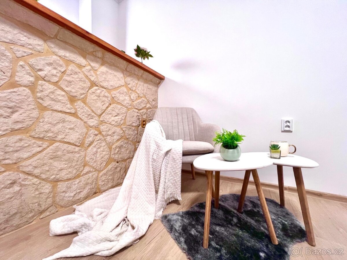 Ateliér 1+1 Žižkov - 3