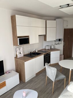Pronájem bytu 1+kk 22 m² , Škvorec, Praha - Východ - 3