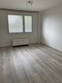 prodej druzstevniho bytu 2+1+L, Krupka Kollarova - 3