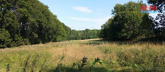 Prodej pozemku k bydlení, 11412 m², Řisuty - 3