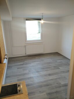 Pronájem byt 1+kk, 21m2, OSTROV - 3