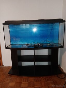Akvarium - 3
