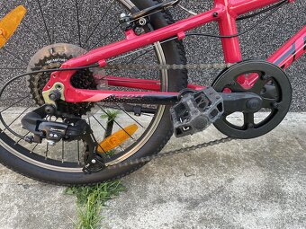 Scott Contessa 20 - 3