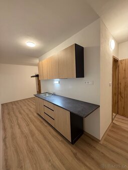 Pronájem bytu 2+1, ul. Pod Břízami, Chomutov, TOP STAV - 3