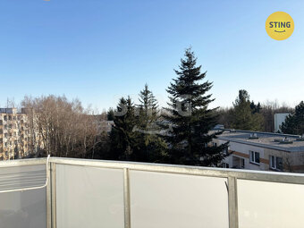 Velmi pěkný byt 1+1 s balkonem, 132028 - 3