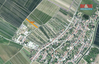 Prodej vinice, 226 m², Týnec na Moravě - 3