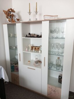 Prosklená vitrína - 3