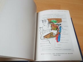 illustrations of regional anatomy - 3