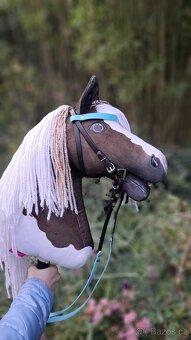 Hobby horse Larden - 3