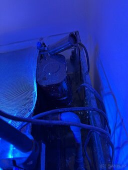 Mořské akvárium 80L komplet . - 3