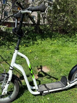 Dětská koloběžka Yedoo Wzoom 12" - max. nosnost 100kg - 3