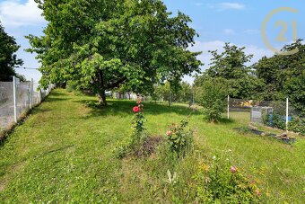 Prodej zahrady s chatou 53m2 v Popůvkách, CP 1127m2 - 3