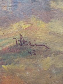 Obraz, Lesní cesta, V. Stein - 3